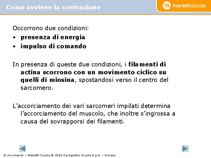 Come avviene la contrazione Occorrono due condizioni: • presenza di energia • impulso di