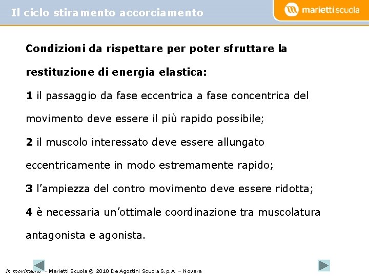 Il ciclo stiramento accorciamento Condizioni da rispettare per poter sfruttare la restituzione di energia