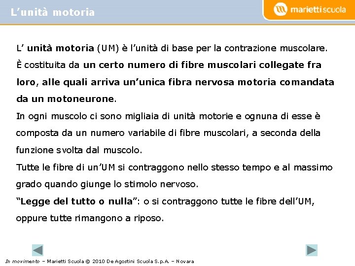 L’unità motoria L’ unità motoria (UM) è l’unità di base per la contrazione muscolare.