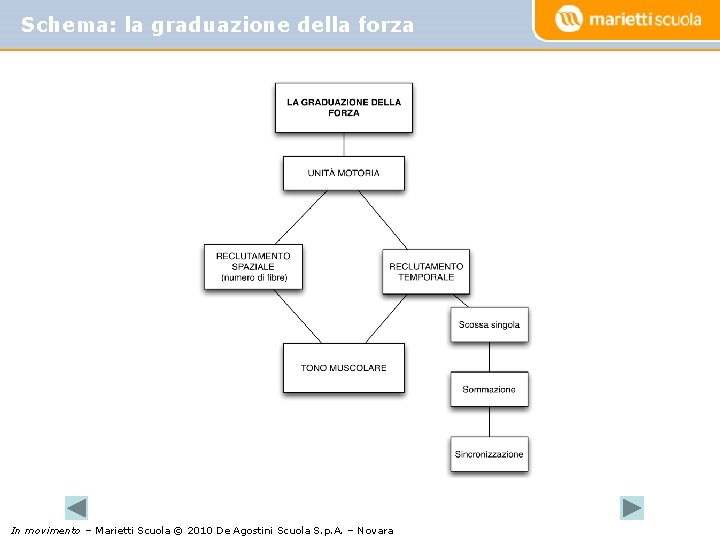 Schema: la graduazione della forza In movimento – Marietti Scuola © 2010 De Agostini