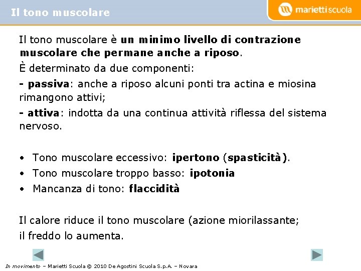 Il tono muscolare è un minimo livello di contrazione muscolare che permane anche a