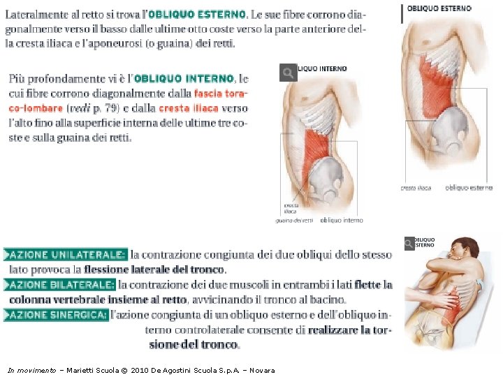 I muscoli In movimento – Marietti Scuola © 2010 De Agostini Scuola S. p.