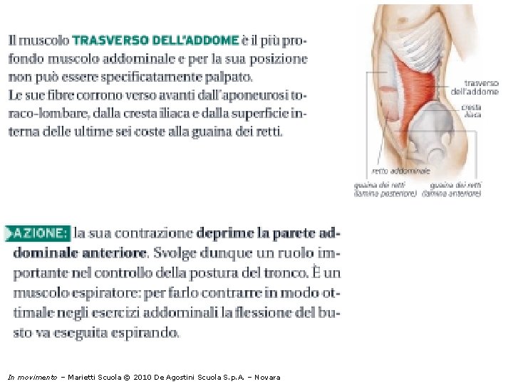 In movimento – Marietti Scuola © 2010 De Agostini Scuola S. p. A. –