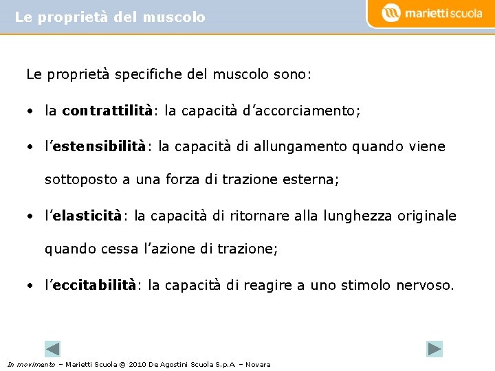 Le proprietà del muscolo Le proprietà specifiche del muscolo sono: • la contrattilità: la