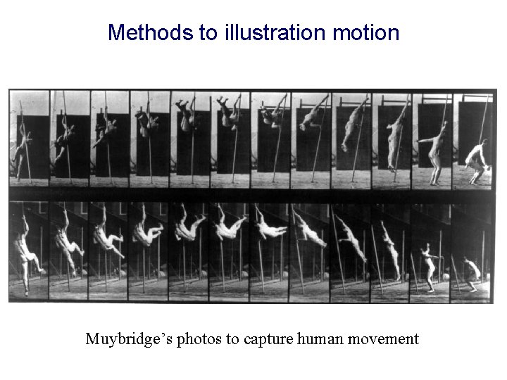 Methods to illustration motion Muybridge’s photos to capture human movement 