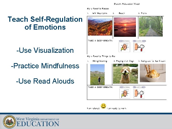 Teach Self-Regulation of Emotions -Use Visualization -Practice Mindfulness -Use Read Alouds 