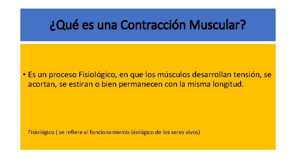 ¿Qué es una Contracción Muscular? • Es un proceso Fisiológico, en que los músculos