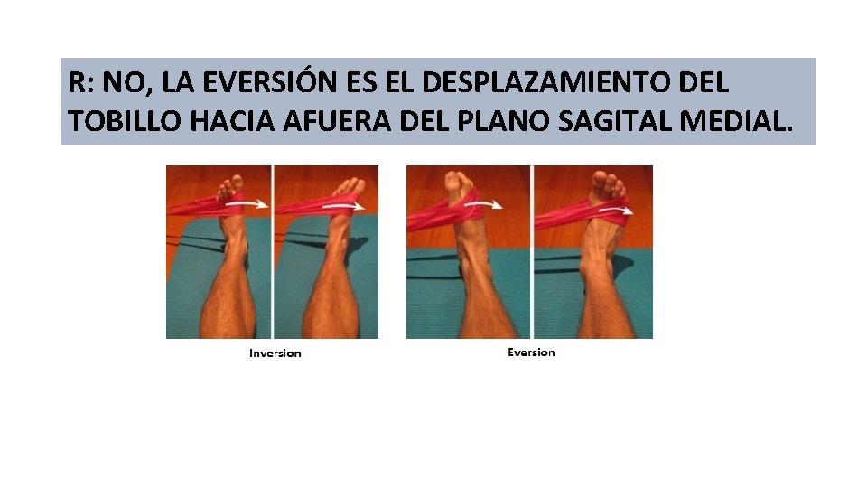 R: NO, LA EVERSIÓN ES EL DESPLAZAMIENTO DEL TOBILLO HACIA AFUERA DEL PLANO SAGITAL