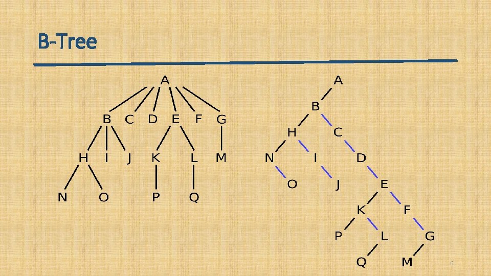 Tree Lexicon INFORMATION RETRIEVAL TECHNIQUES BY DR ADNAN ABID Lecture