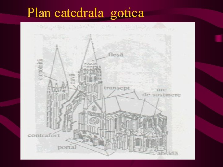 Plan catedrala gotica 