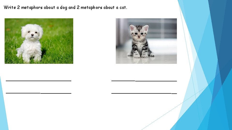 Write 2 metaphors about a dog and 2 metaphors about a cat. 