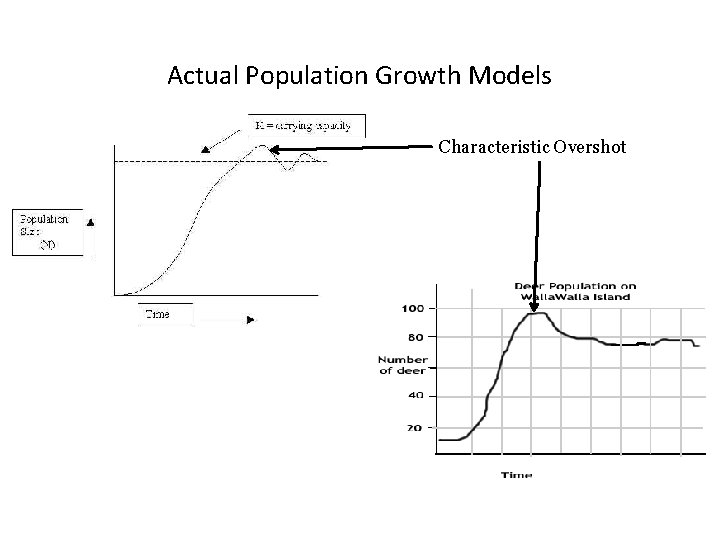 Actual Population Growth Models Characteristic Overshot 