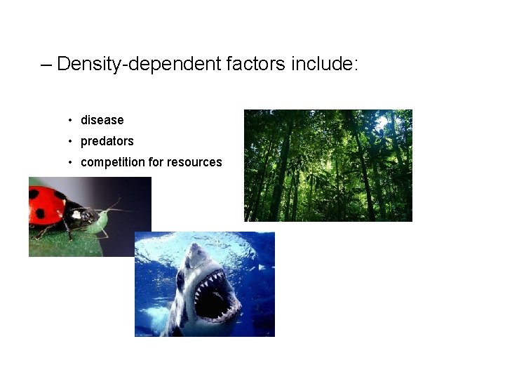 – Density-dependent factors include: • disease • predators • competition for resources 