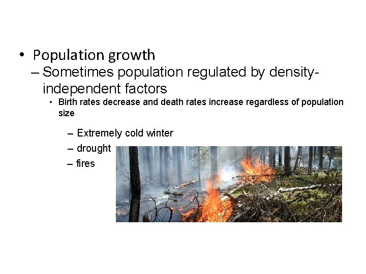  • Population growth – Sometimes population regulated by densityindependent factors • Birth rates