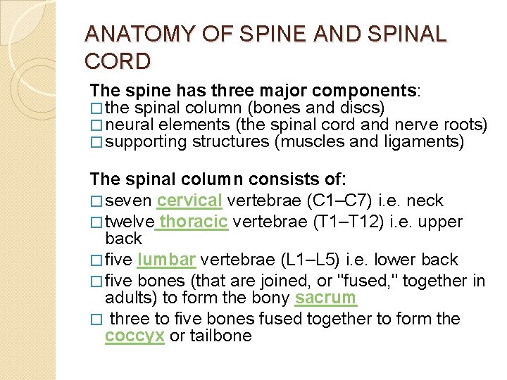 ANATOMY OF SPINE AND SPINAL CORD The spine has three major components: � the
