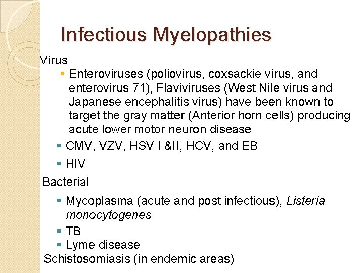 Infectious Myelopathies Virus § Enteroviruses (poliovirus, coxsackie virus, and enterovirus 71), Flaviviruses (West Nile