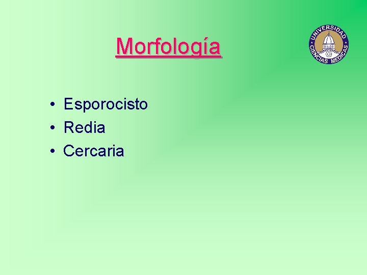 Morfología • Esporocisto • Redia • Cercaria 