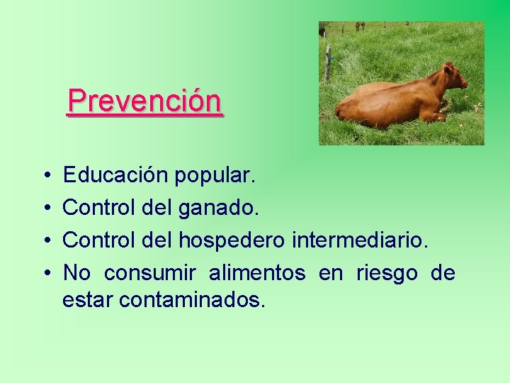 Prevención • • Educación popular. Control del ganado. Control del hospedero intermediario. No consumir