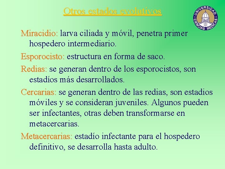 Otros estados evolutivos Miracidio: larva ciliada y móvil, penetra primer hospedero intermediario. Esporocisto: estructura