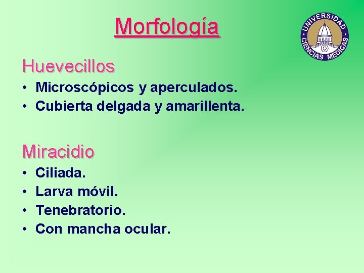 Morfología Huevecillos • Microscópicos y aperculados. • Cubierta delgada y amarillenta. Miracidio • •
