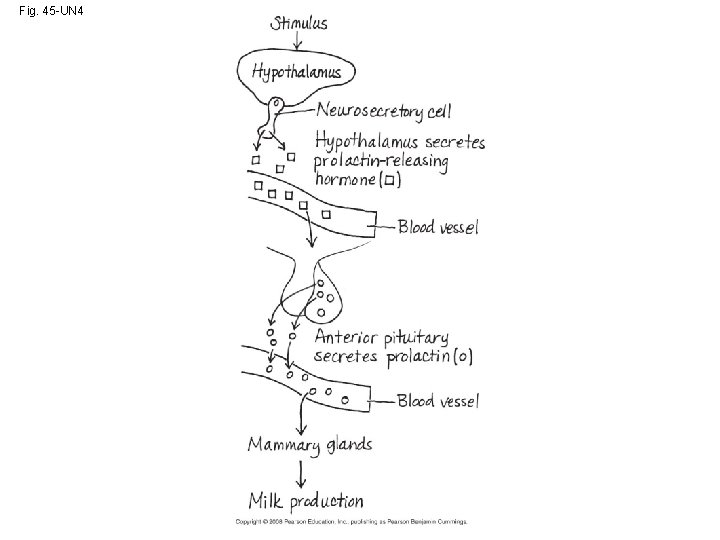 Fig. 45 -UN 4 