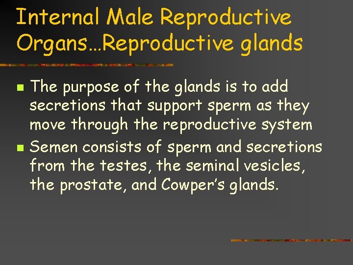 Internal Male Reproductive Organs…Reproductive glands n n The purpose of the glands is to