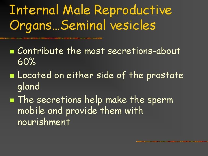 Internal Male Reproductive Organs…Seminal vesicles n n n Contribute the most secretions-about 60% Located