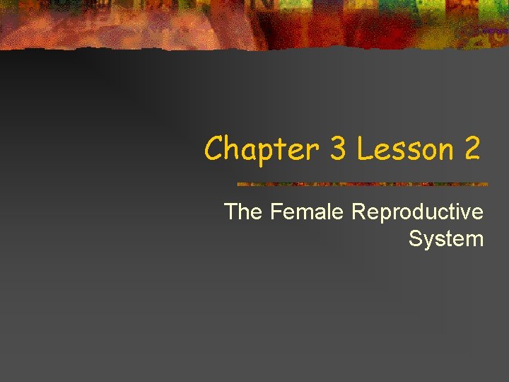 Chapter 3 Lesson 2 The Female Reproductive System 