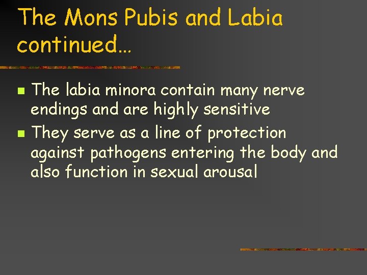 The Mons Pubis and Labia continued… n n The labia minora contain many nerve
