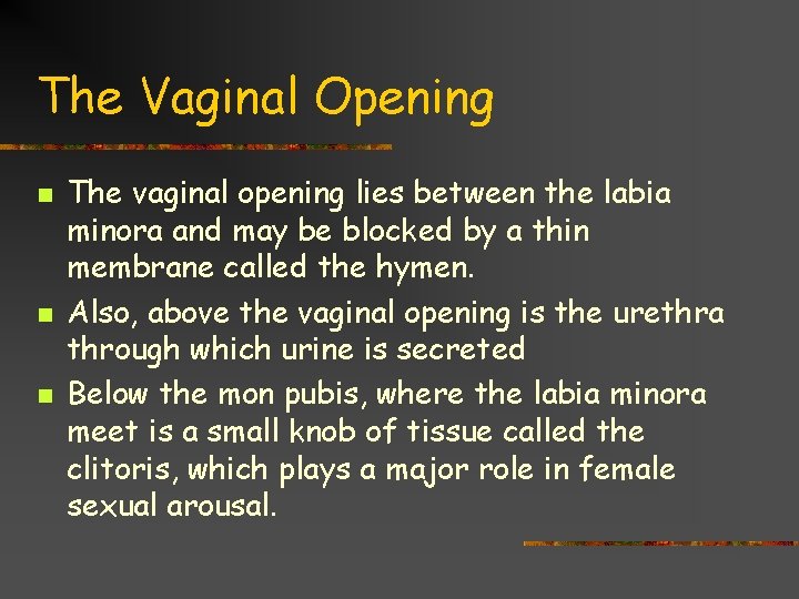 The Vaginal Opening n n n The vaginal opening lies between the labia minora