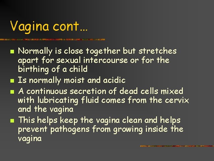 Vagina cont… n n Normally is close together but stretches apart for sexual intercourse