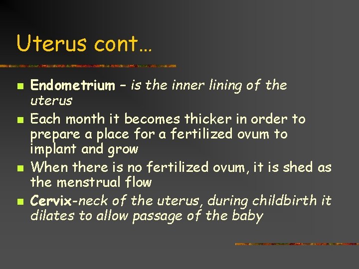 Uterus cont… n n Endometrium – is the inner lining of the uterus Each
