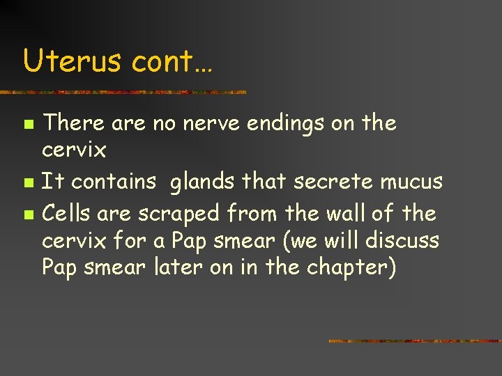 Uterus cont… n n n There are no nerve endings on the cervix It