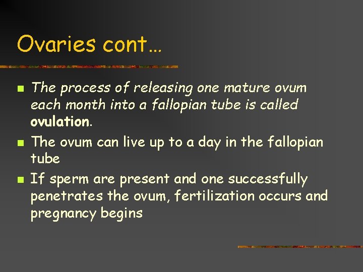 Ovaries cont… n n n The process of releasing one mature ovum each month