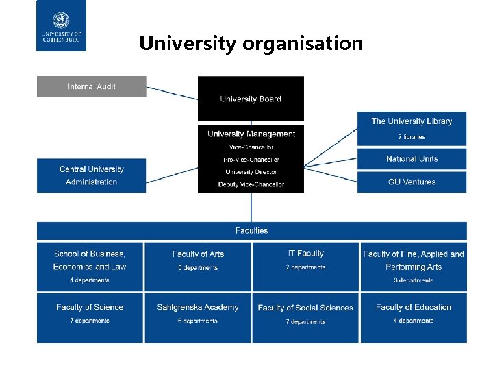 University organisation 