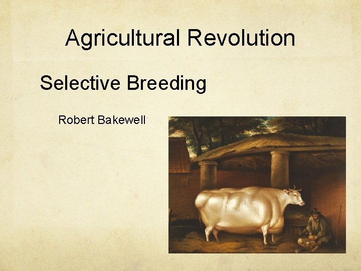 Agricultural Revolution Selective Breeding Robert Bakewell 