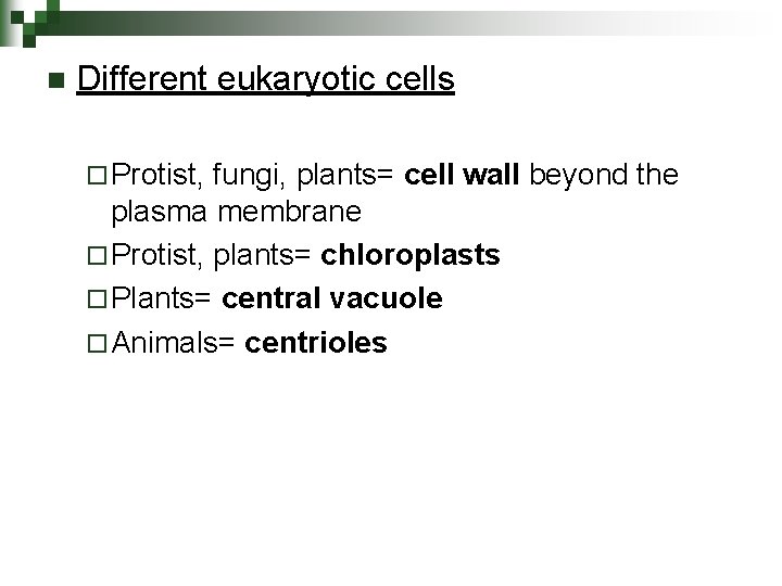 n Different eukaryotic cells ¨ Protist, fungi, plants= cell wall beyond the plasma membrane