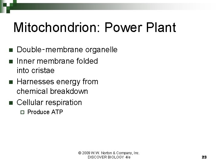 Mitochondrion: Power Plant n n Double‑membrane organelle Inner membrane folded into cristae Harnesses energy