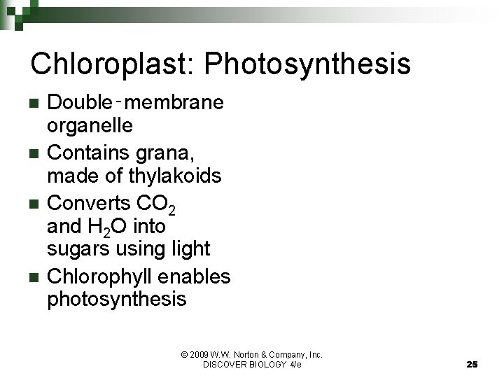 Chloroplast: Photosynthesis n n Double‑membrane organelle Contains grana, made of thylakoids Converts CO 2