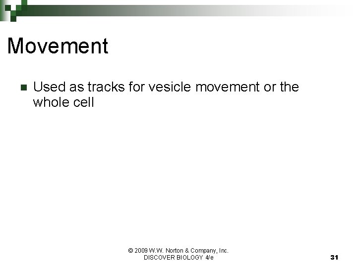 Movement n Used as tracks for vesicle movement or the whole cell © 2009