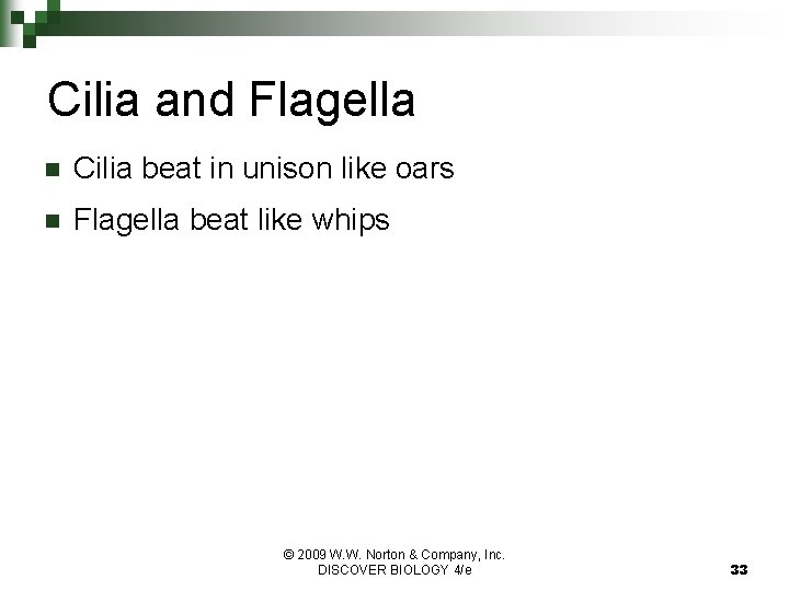 Cilia and Flagella n Cilia beat in unison like oars n Flagella beat like