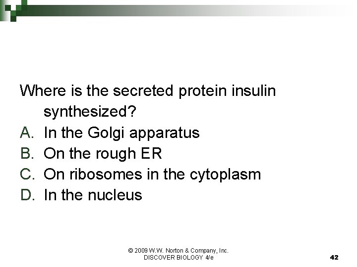 Where is the secreted protein insulin synthesized? A. In the Golgi apparatus B. On