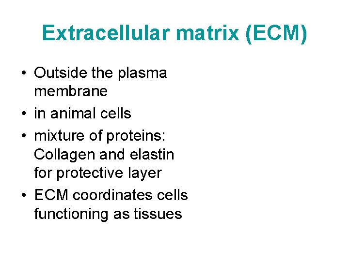 Extracellular matrix (ECM) • Outside the plasma membrane • in animal cells • mixture