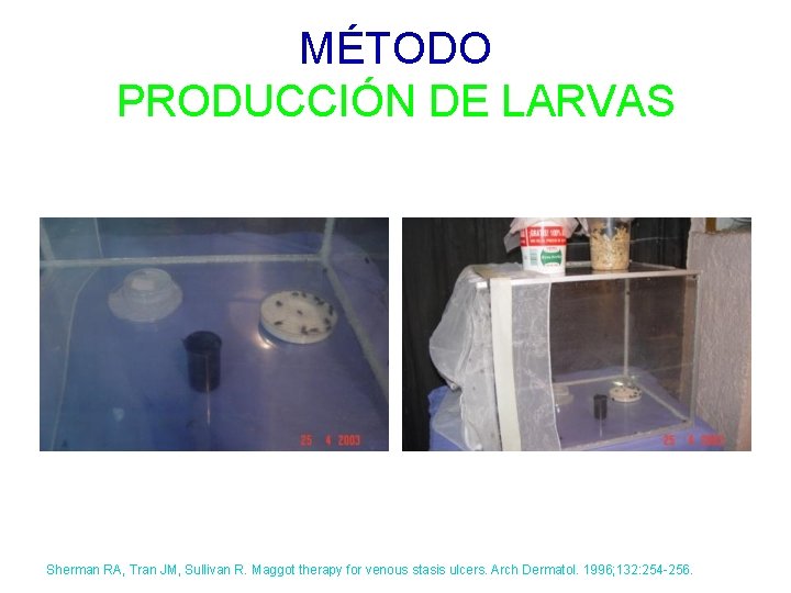 MÉTODO PRODUCCIÓN DE LARVAS Sherman RA, Tran JM, Sullivan R. Maggot therapy for venous