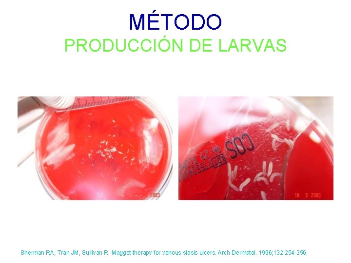 MÉTODO PRODUCCIÓN DE LARVAS Sherman RA, Tran JM, Sullivan R. Maggot therapy for venous