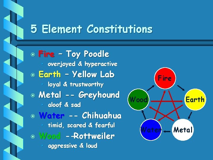 5 Element Constitutions b Fire – Toy Poodle • overjoyed & hyperactive b Earth