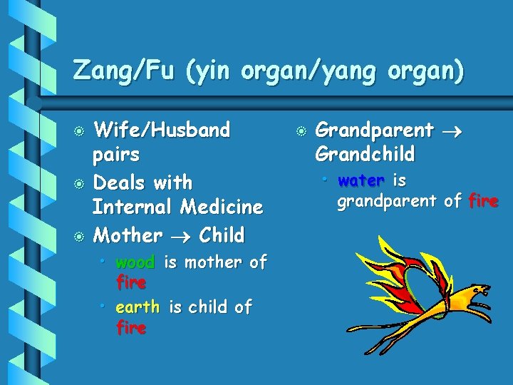 Zang/Fu (yin organ/yang organ) b b b Wife/Husband pairs Deals with Internal Medicine Mother