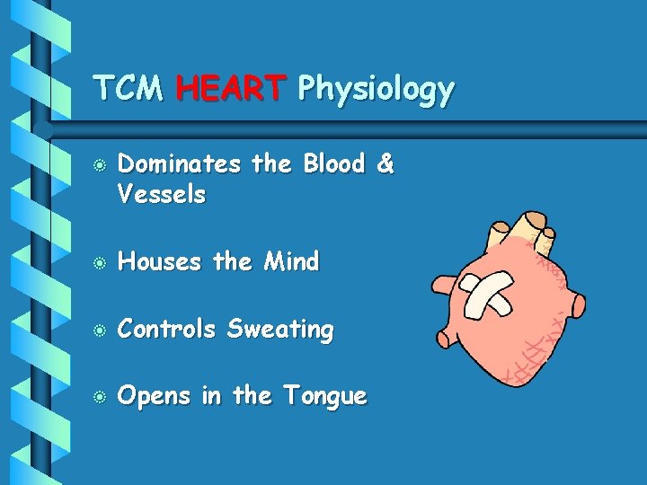 TCM HEART Physiology b Dominates the Blood & Vessels b Houses the Mind b