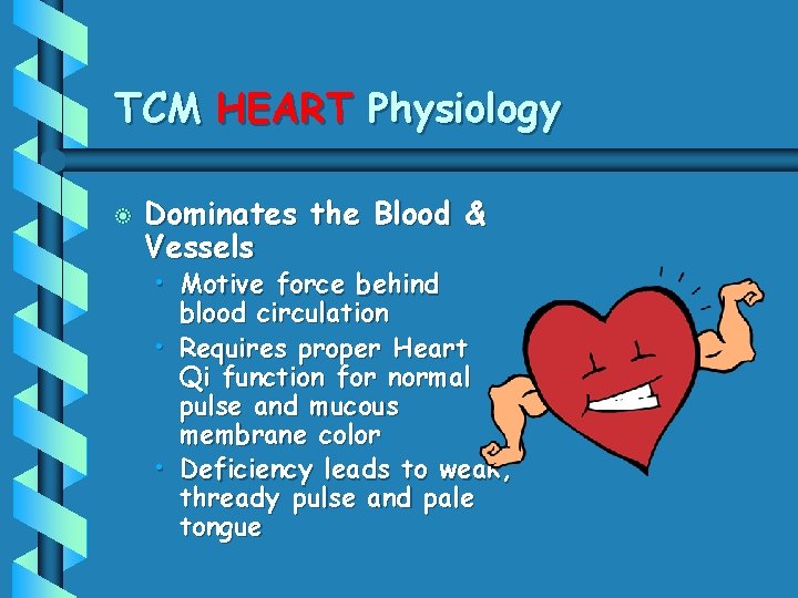 TCM HEART Physiology b Dominates the Blood & Vessels • Motive force behind blood
