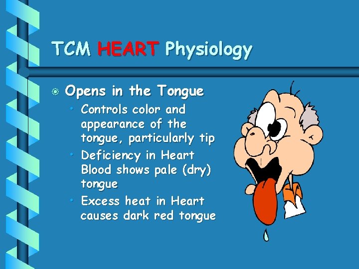 TCM HEART Physiology b Opens in the Tongue • Controls color and appearance of